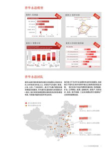 聚焦數據洞察 美國咨詢機構與199it網站的設計及技術咨詢實踐